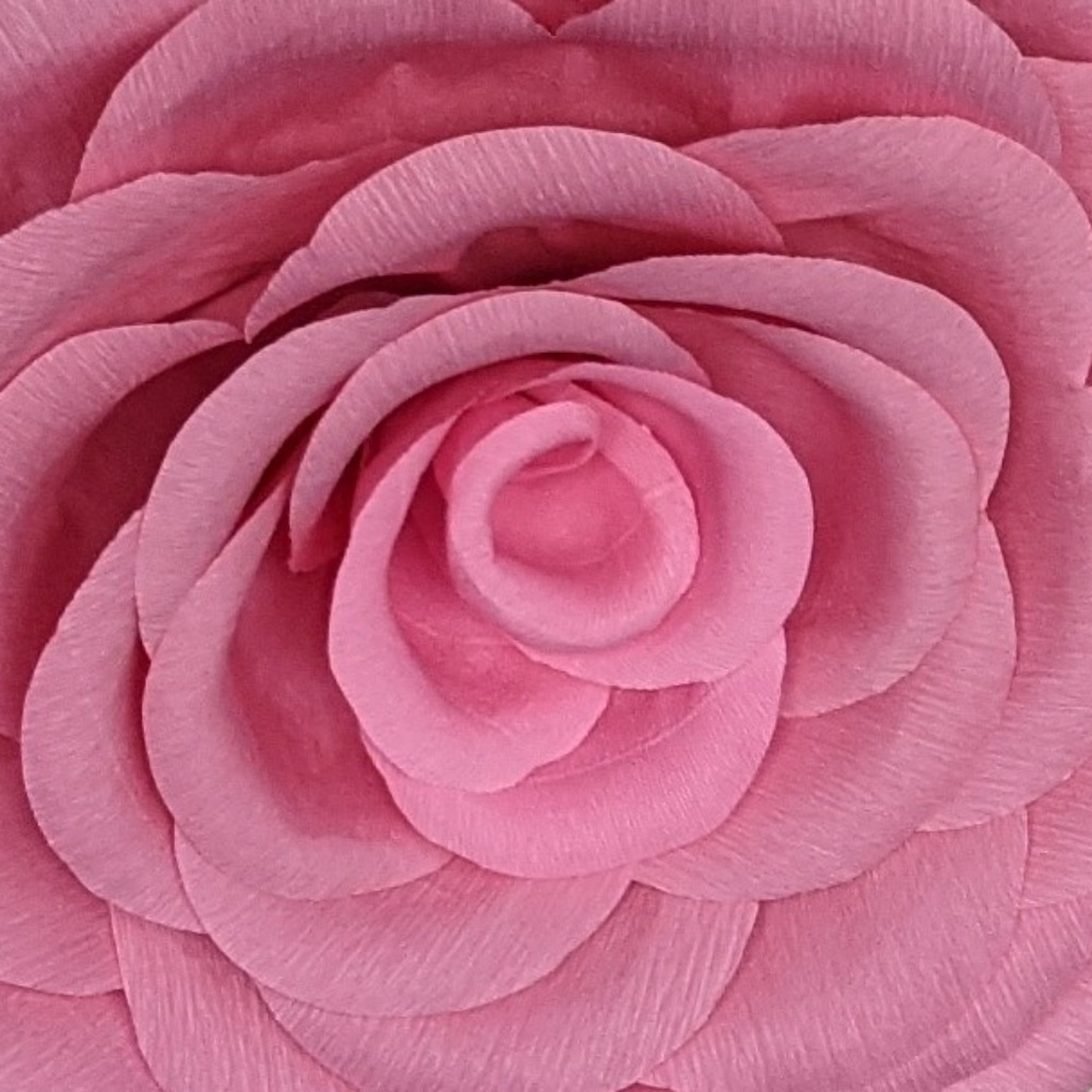 Meet your Posher, Alicia